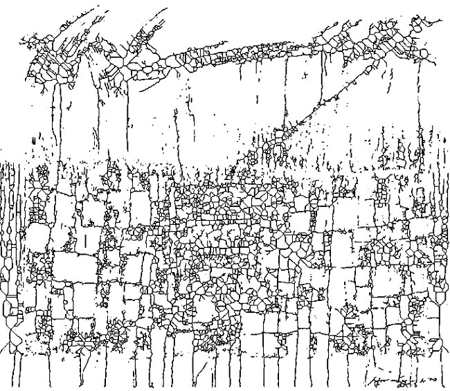  Formación de paisajes mínimos