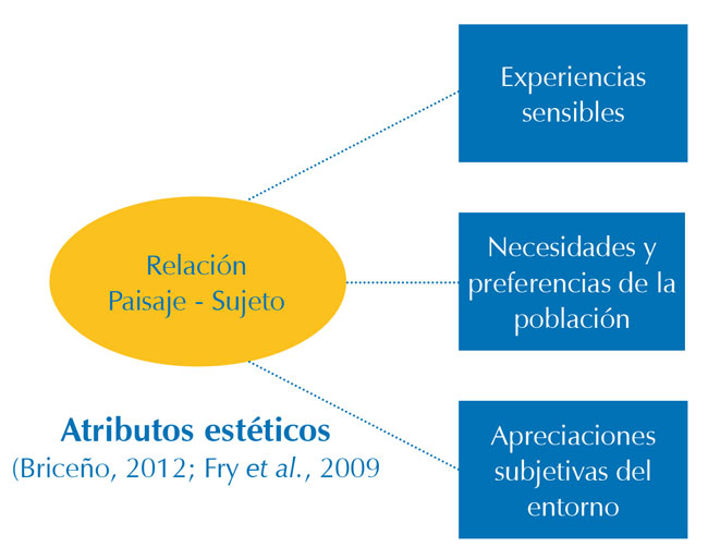 Áreas temáticas de estudio del atributo estético